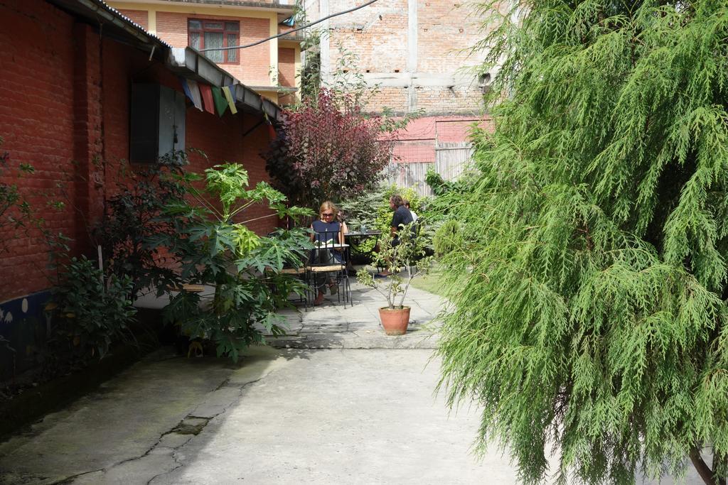 Bodhi Guest House Baudhatinchule Екстериор снимка